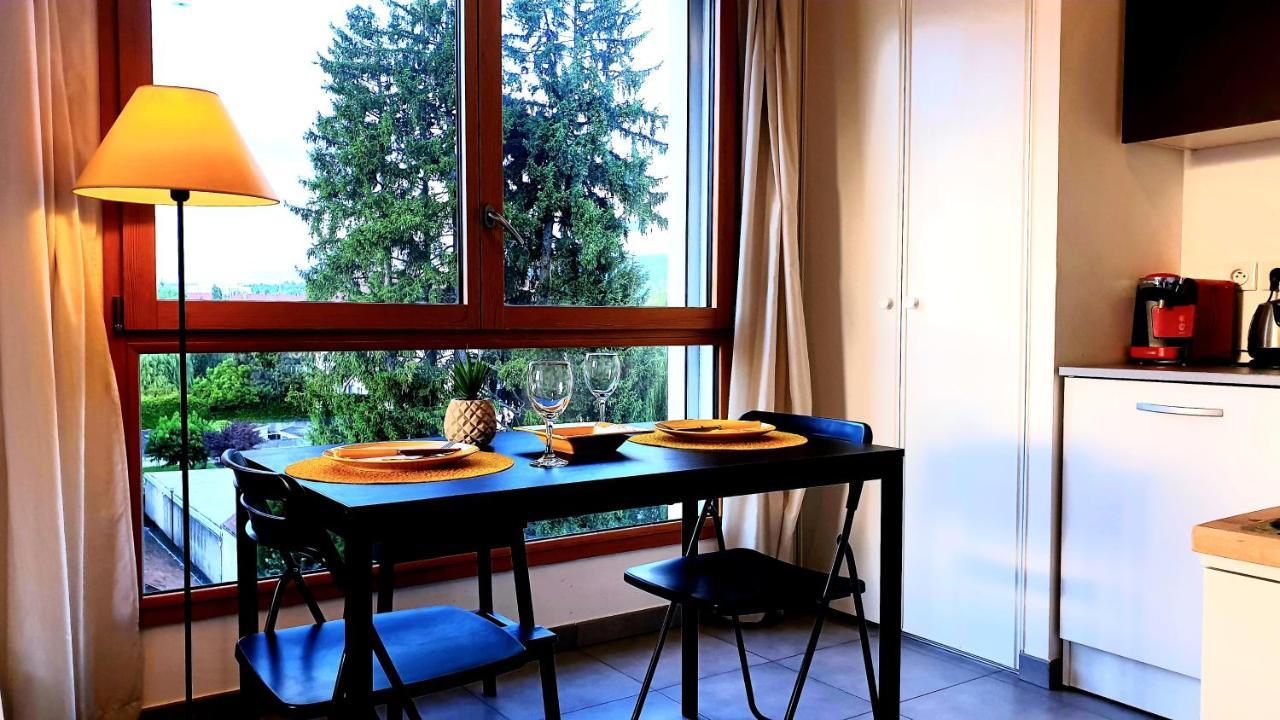 Apartmán Le Bellevue A 10Min Du Centre A Pied Annecy Exteriér fotografie